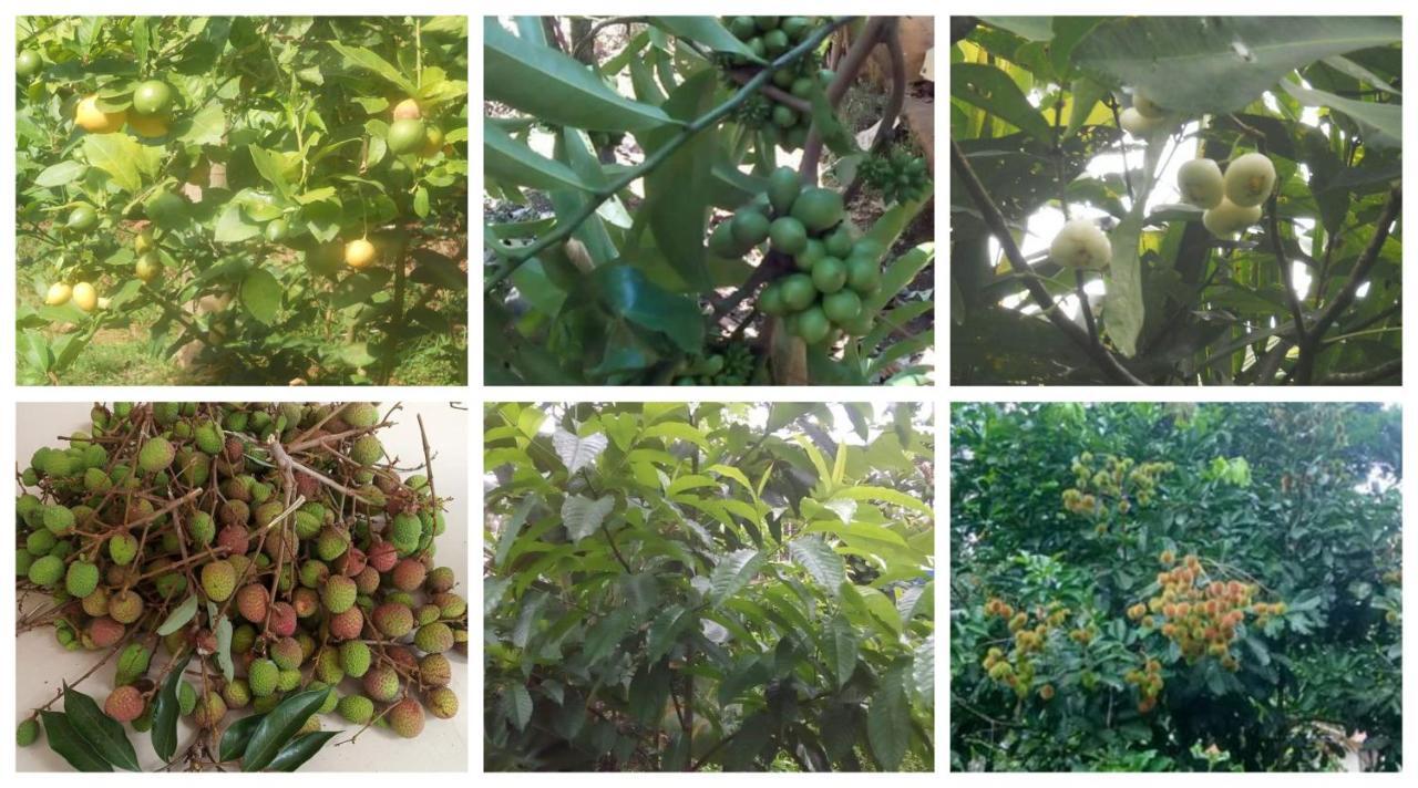 Anand Homestay Kattappana 外观 照片