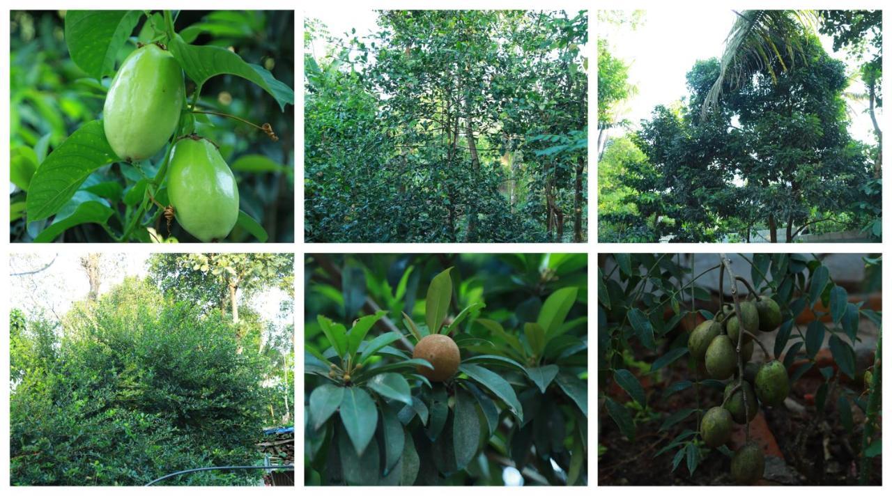 Anand Homestay Kattappana 外观 照片